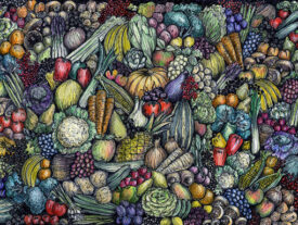 Kitchen Splashback - All Sizes