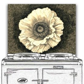 Pencil Poppy - Cream