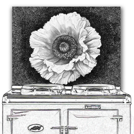 Pencil Poppy - White