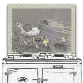 Birds - Ducks