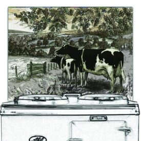 Cows and Acorn Tree
