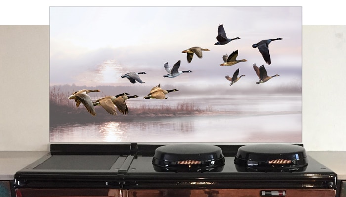 Geese Flying from Lake - Image 3